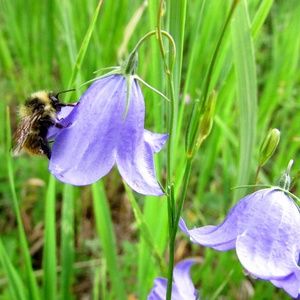 Meet your Posher, Mia